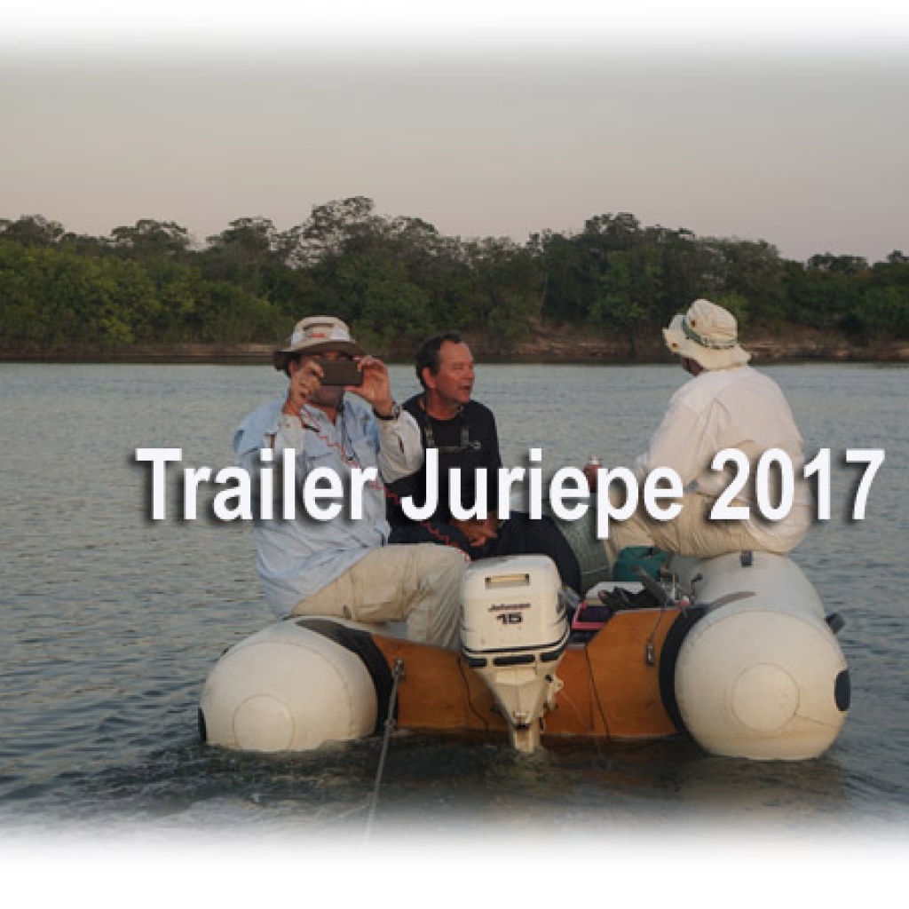 Trailer PASEO JURIEPE 2017